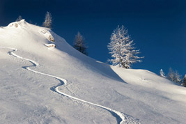 Ski